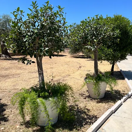 Tenuta Serena בית נופש *